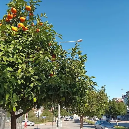 Cute 1 Bed Apartment, At The Heart Of Konyaalti Antalya