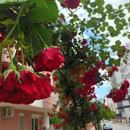 Cute 1 Bed Apartment, At The Heart Of Konyaalti *