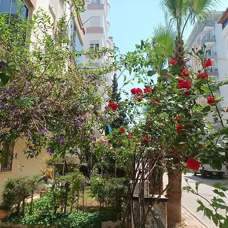 Lägenhet Cute 1 Bed Apartment, At The Heart Of Konyaalti Antalya