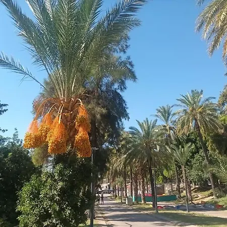 Cute 1 Bed Apartment, At The Heart Of Konyaalti * Antalya