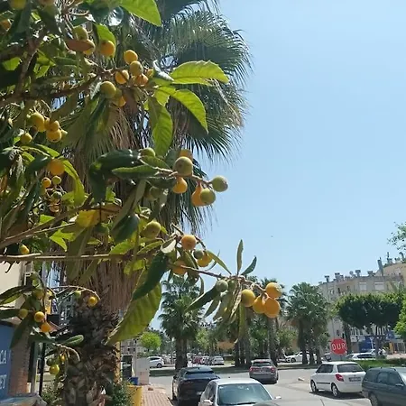 Cute 1 Bed Apartment, At The Heart Of Konyaalti Lägenhet Antalya